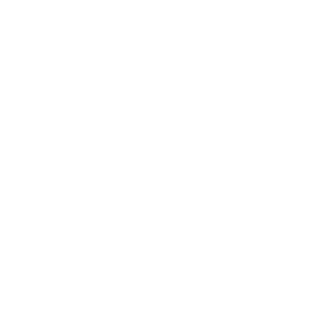 rosenshines-principles