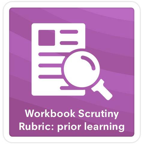 workbook_scrutiny_rubric